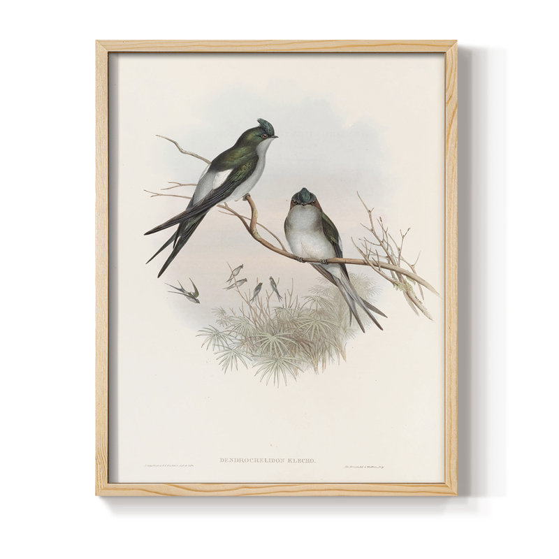 Imprimé animalier rétro X, reproduction encadrée - bois massif, Naturel, H 21 po x l 17 po