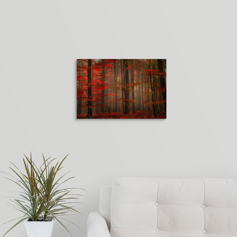 « magnifique red », reproduction de photo sur toile, H 12 po x l 18 po x P 1,5 po