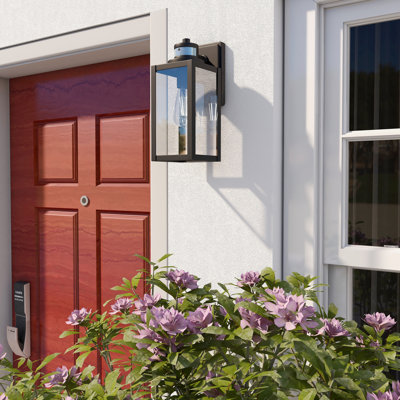 Schlesinger Matte Black 32.1cm H Outdoor Wall Lantern