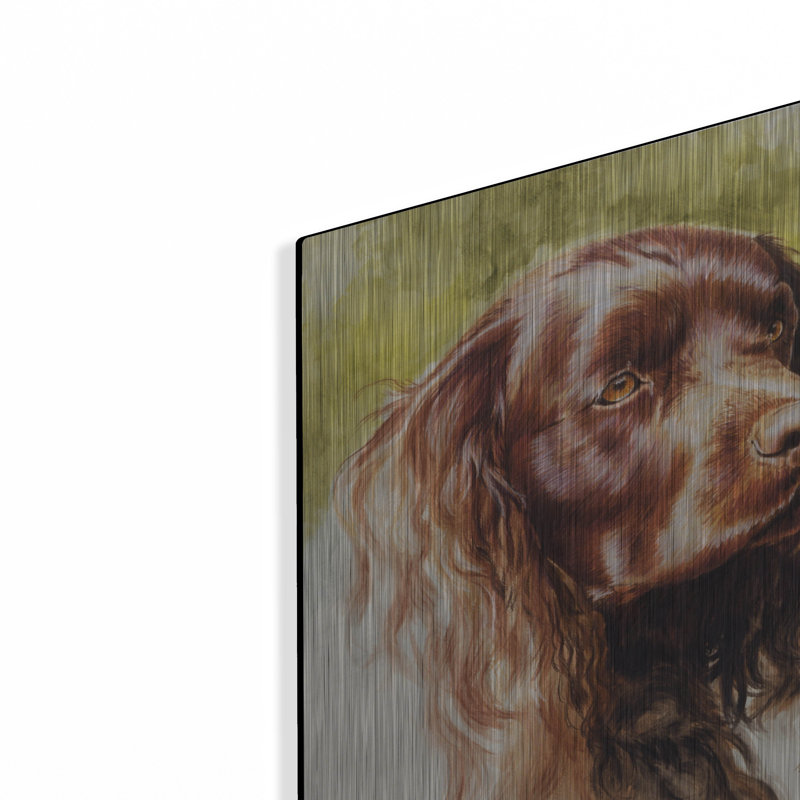 «Am Water Spaniel» par Barbara Keith, H 16 po x l 12 po