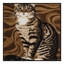  Tapis lavable American Shorthair Cats-1276898887