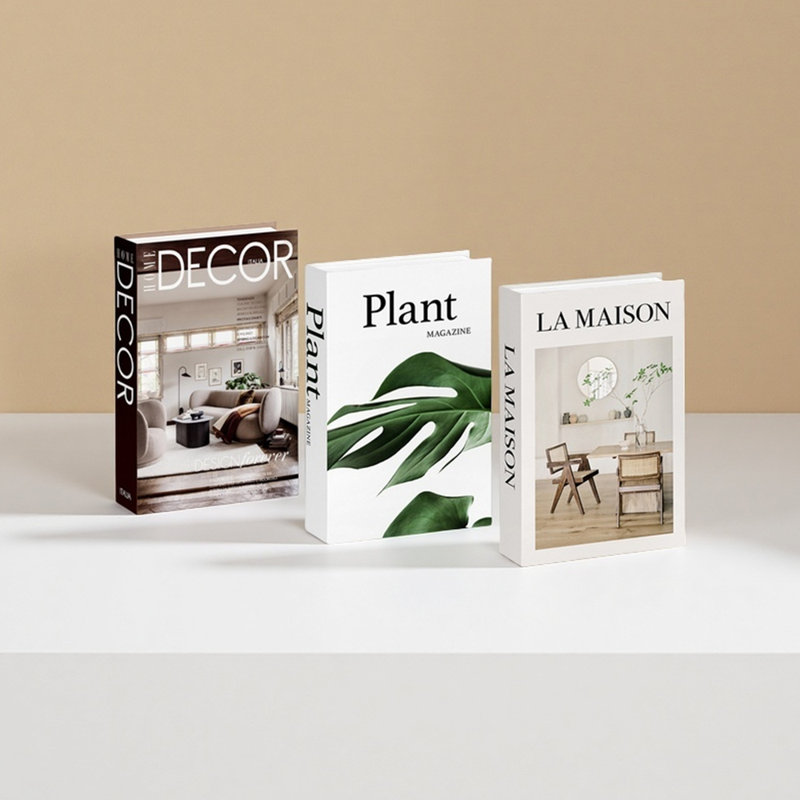 Ensemble de 3 livres décoratifs