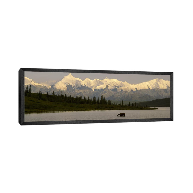 Moose Standing On A Frozen LakeWonder Lake, Denali National Park, Alaska, USA by Panoramic Images - Floater Frame Panoramic Gallery-Wrapped Canvas Giclée on Canvas