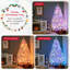 Jacquan 6 Christmas Tree