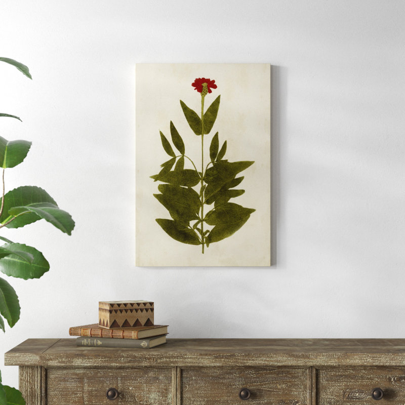 Botanical Impression IV - Painting Print, 76cm H x 51cm W, Wrapped Canvas