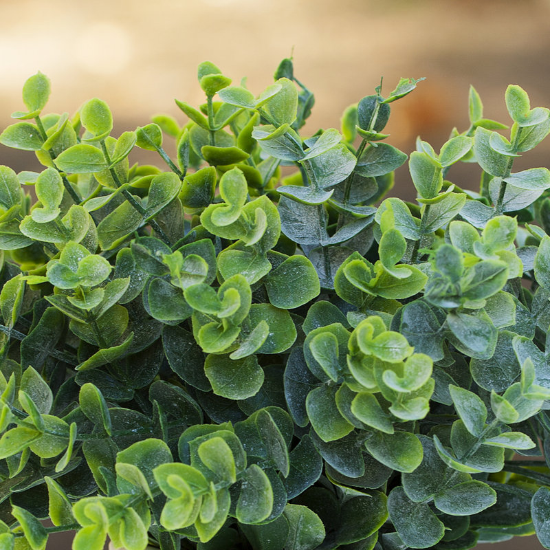 Herbe d'eucalyptus artificiel 10 po en pot