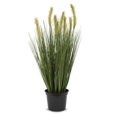 75 cm H Faux Pampas Grass Plant in Earthenware Pot