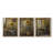 Floral Study  Series  CLXIX  -Set Of 3 Framed Giclee Prints -Ready to Hang-1526493587-1526493589