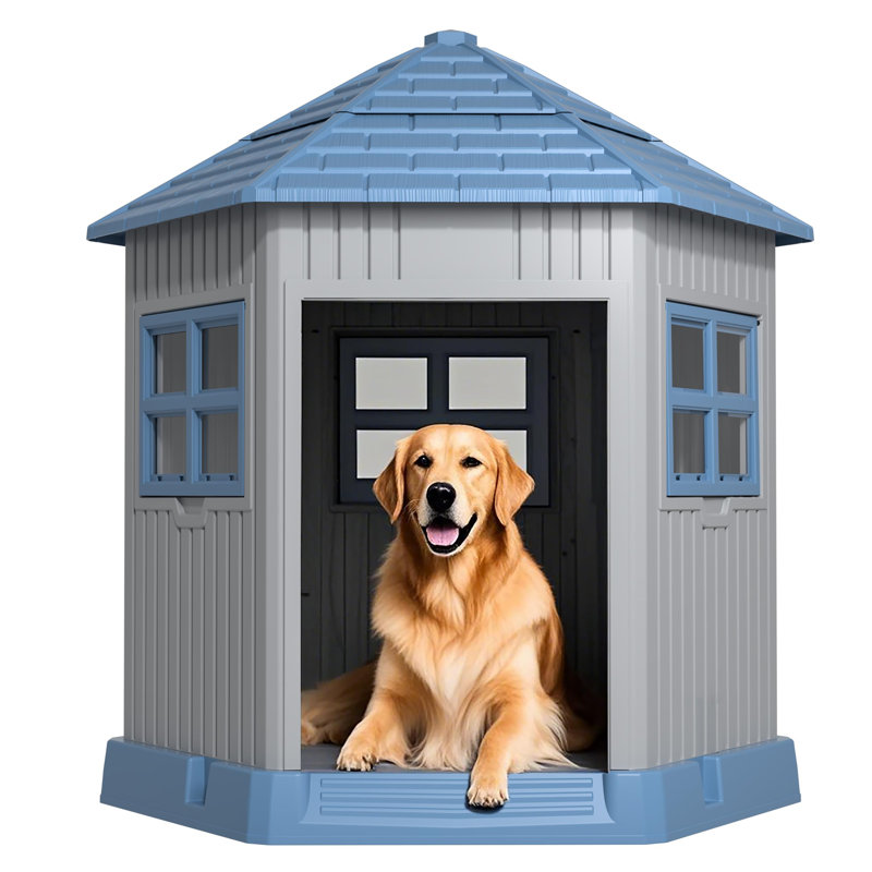 Dog House for Small to Medium Pets