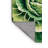 Washable Chinese Cabbage Napa Vegetables Area Rug-316582264