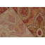 One-of-a-Kind Area Rug in Orange/Yellow-548895901