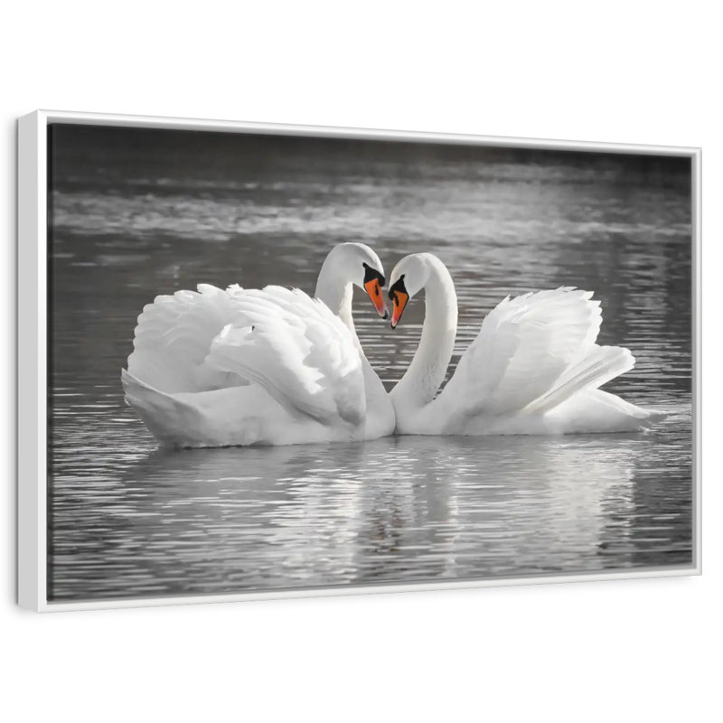 Couple de cygnes amoureux, Cadre flottant blanc, 46 po x 31 po
