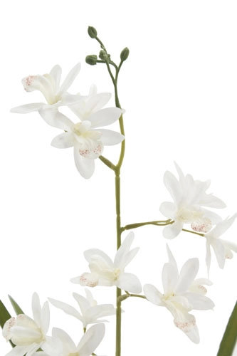20.5" Artificial White Orchid in Vanda Pot