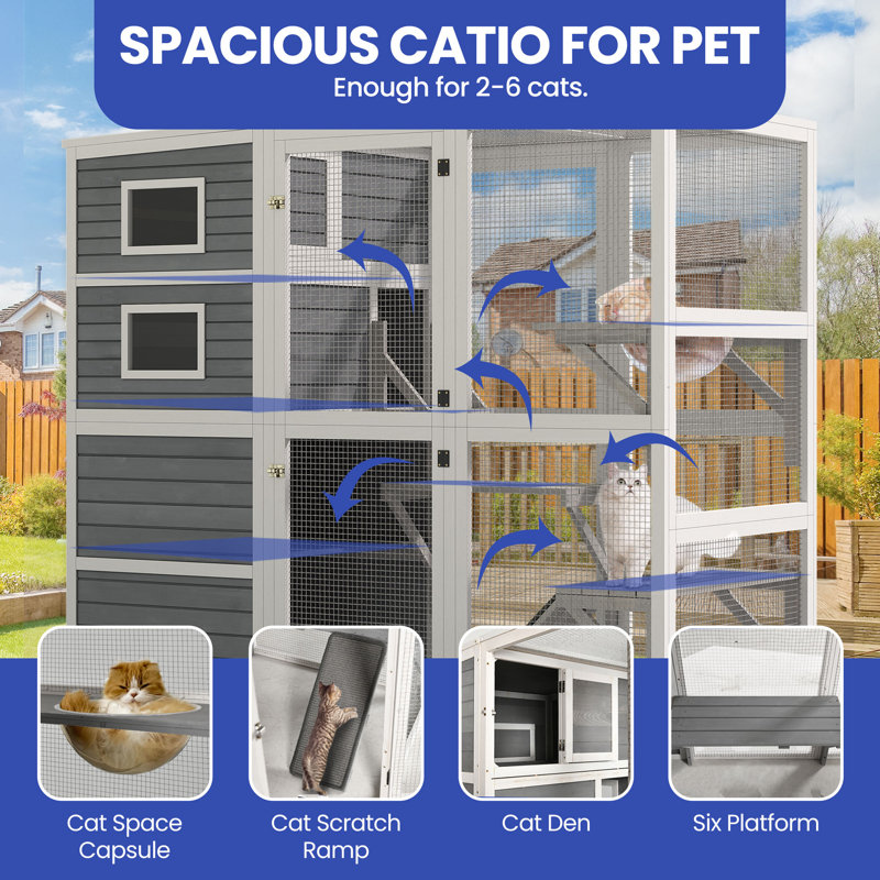Espace pour chat d'extérieur 77,9 pouces