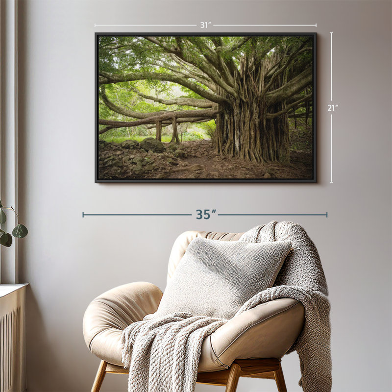 Impression sur toile Banyan Tree, H 21 po x l 31 po