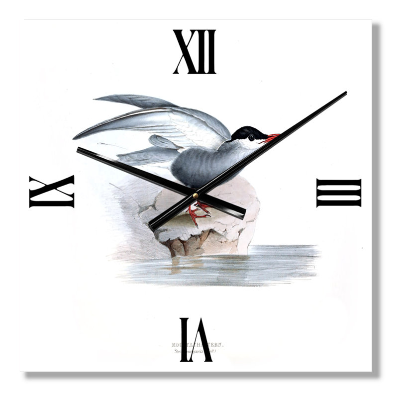 Horloge murale rétro Vintage Bird of Europe I, Grand
