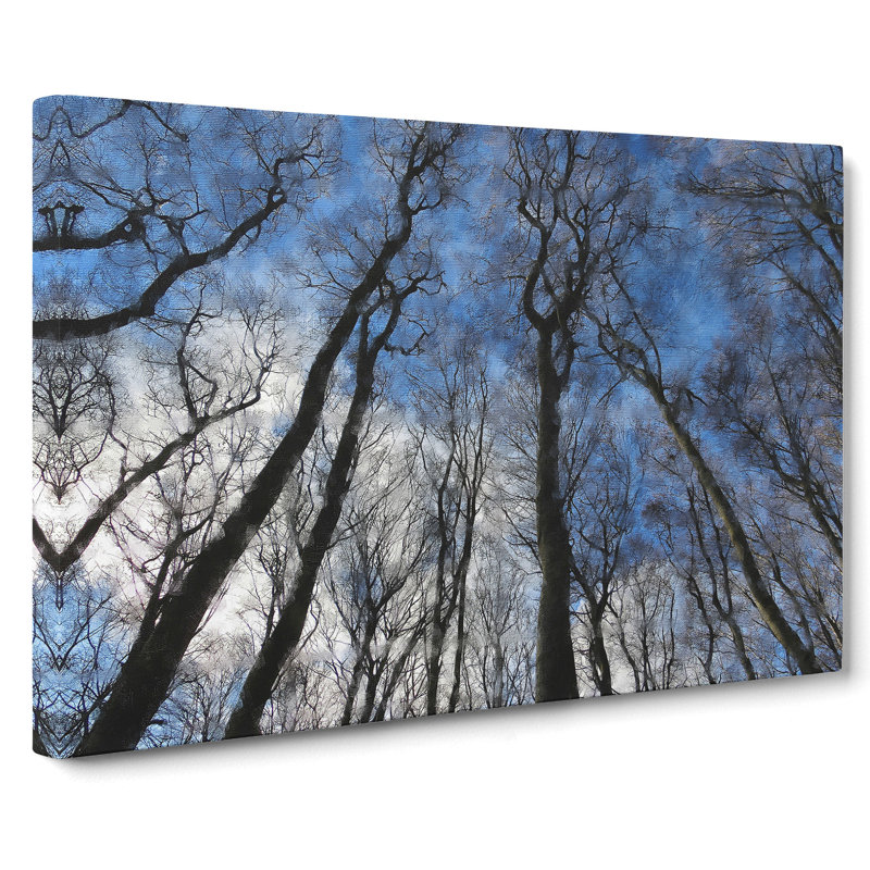 Beautiful Forest - Wrapped Canvas, 35cm H x 50cm W x 3cm D