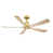 Brushed Satin Brass n'est pas disponible