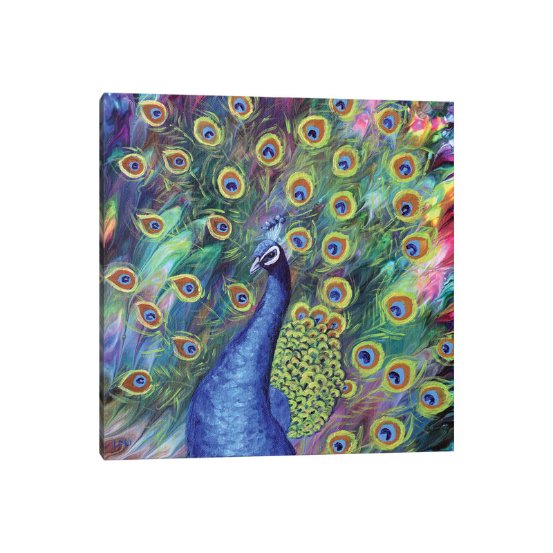 Peacock by Laura Iverson - Wrapped Canvas Painting, 30.48 cm H x 30.48 cm W