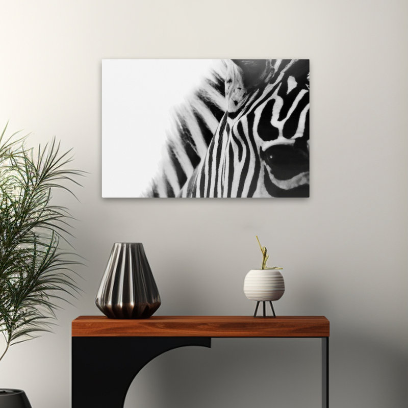 Œil de zèbre - Photographie, animaux, nature, faune, zèbres, art, H 16 po x l 24 po