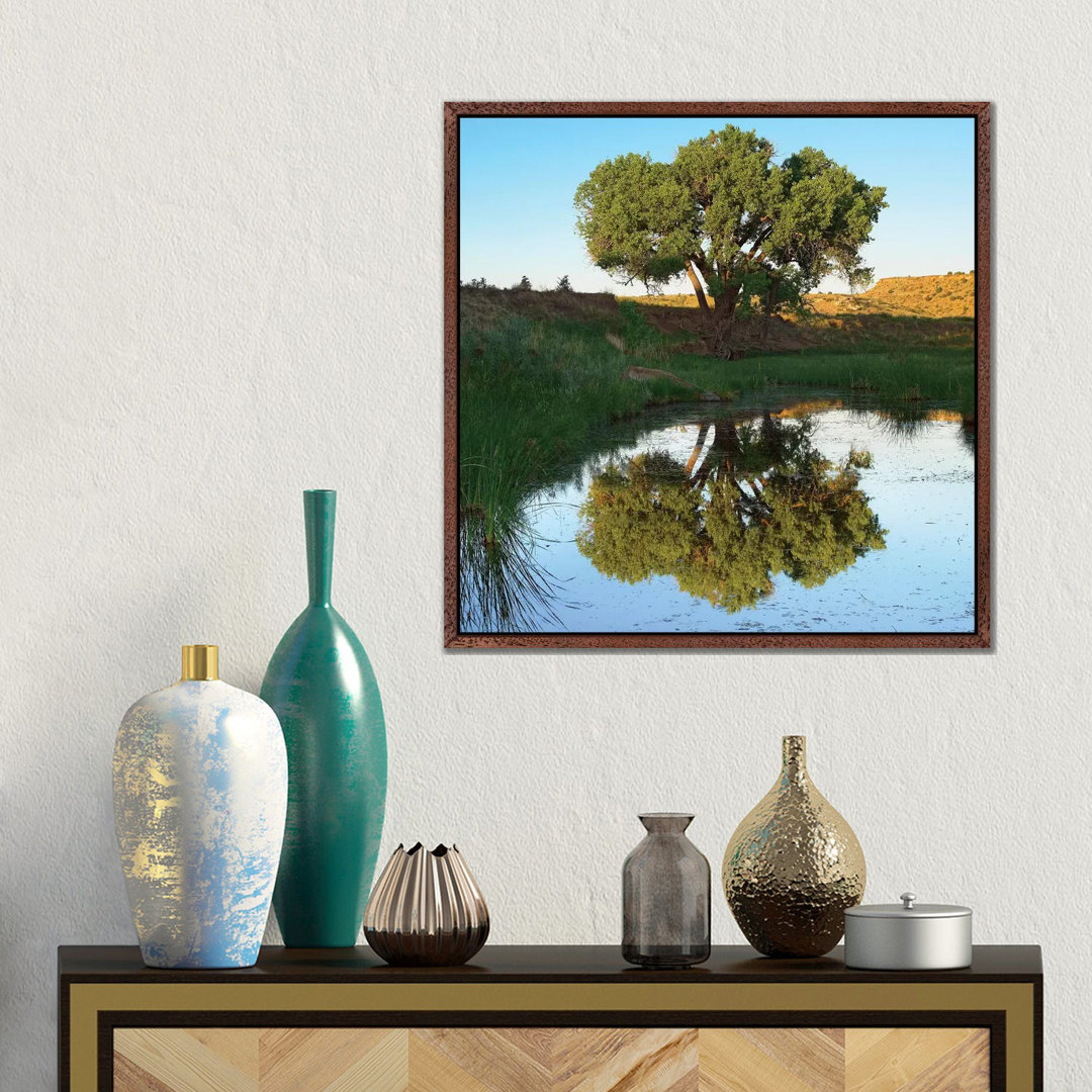 Tree Reflecting In Creek Near Black Mesa State Park, Oklahoma von Tim Fitzharris - Gallery-Wrapped Canvas Giclée on Canv...