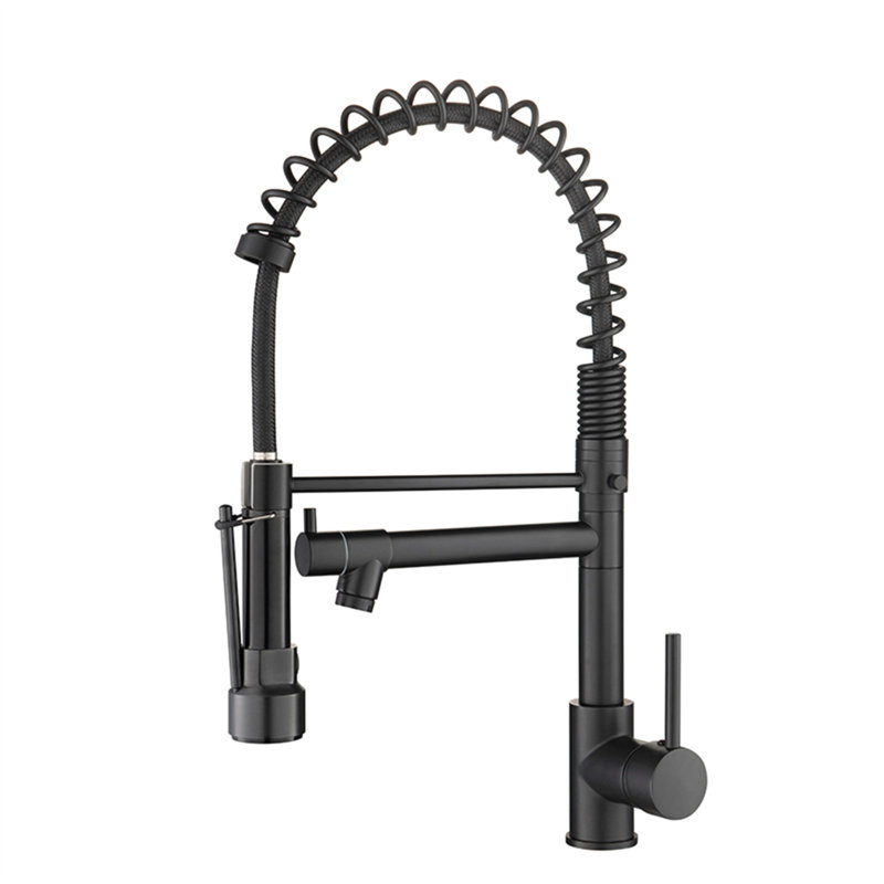 Robinet de cuisine avec douchette rétractable, robinet d'évier de cuisine à poignée simple