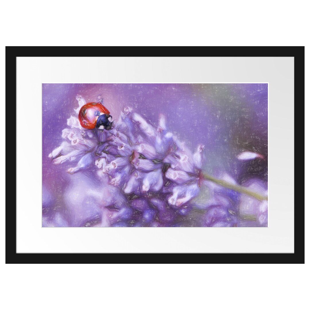 Gerahmtes Poster Kleiner Marienkäfer auf Lavendel