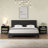 Malverne 2 - Drawer Nightstand in Black