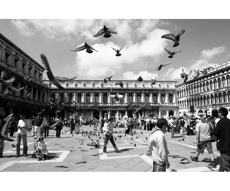 Piazza San Marco, Venise, H 32 po x l 48 po