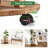Nathanil Plant Stand-1302026025
