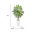 Dracaena artificiel Kren, pot à fleurs blanc, soie soyeuse réaliste 60 pouces-132797860-132797862