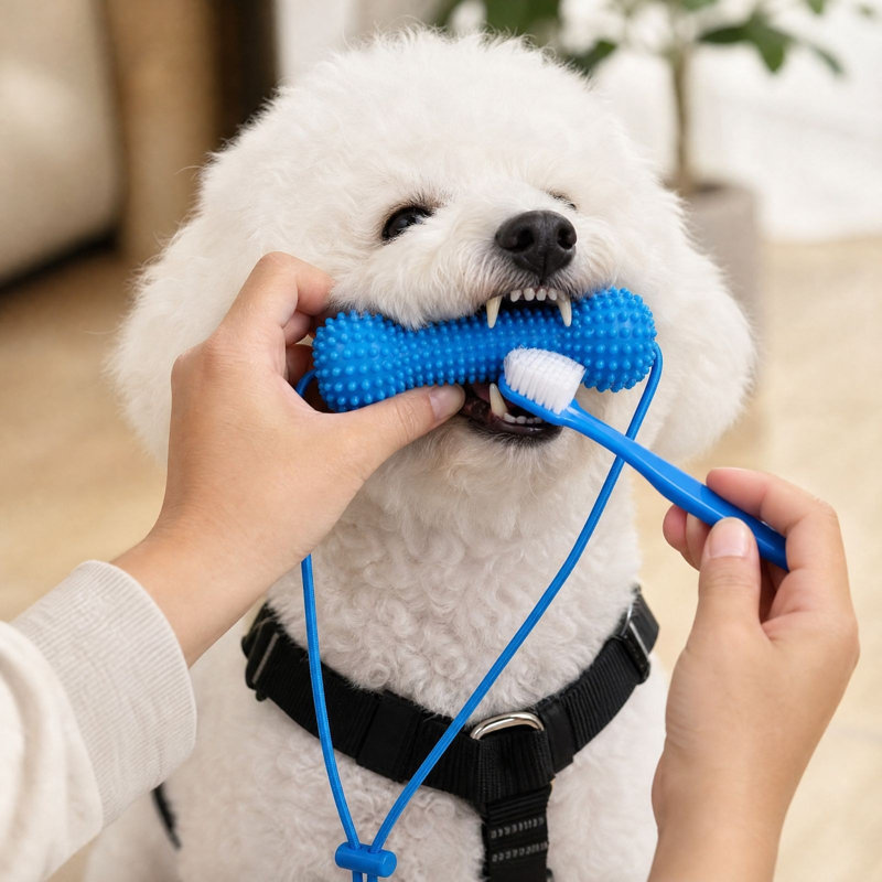 Ear irrigation solution Dog Chew Stick Toy Interactive Pet  Toy For Teething Cleaning With Adjustable Pull Rope