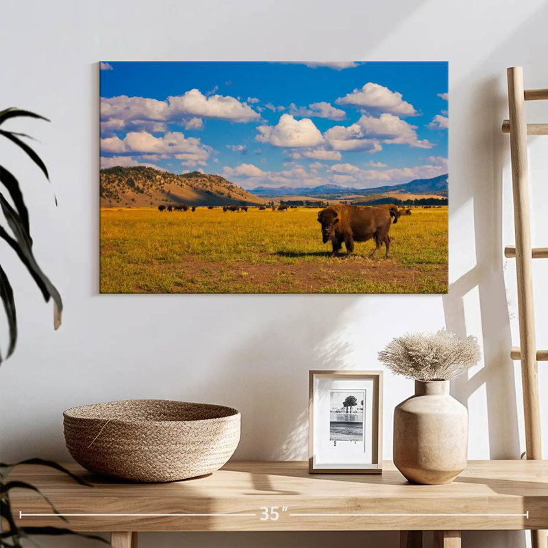 Bison dans le parc national, H 16 po x l 24 po