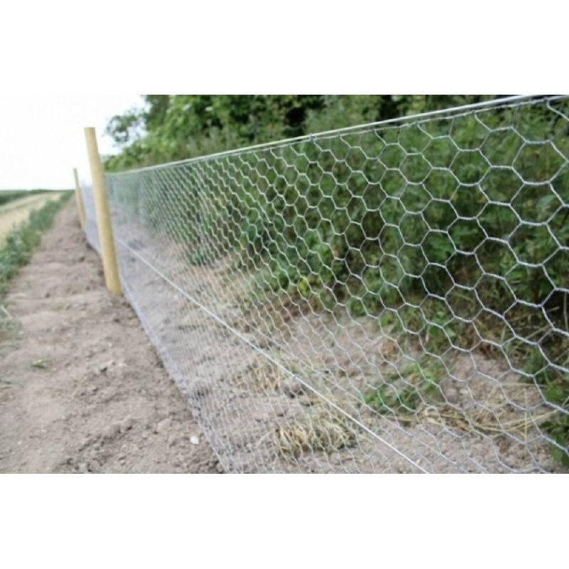 Eugenia Wire Mesh, 0.25cm, 90cm H x 500cm W x 2cm D