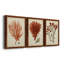 Antique Red Coral IV - Ensemble de 3 peintures sur toile encadrées-1301298112-1301298115