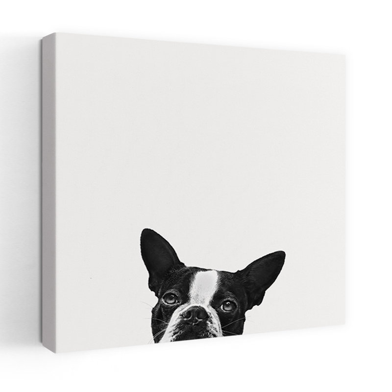 Loyauté, art contemporain pour chien, H 18 po x l 18 po