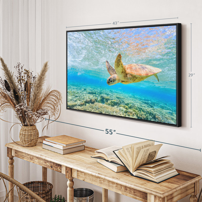Turtle Dive Canvas Print, 29" H x 43" W