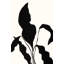 Silhouetted Flower 1 Print by Hable Construction-371899059