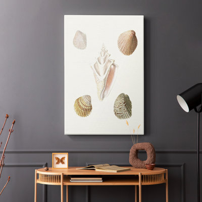 Pastel Knorr Shells - Pasta