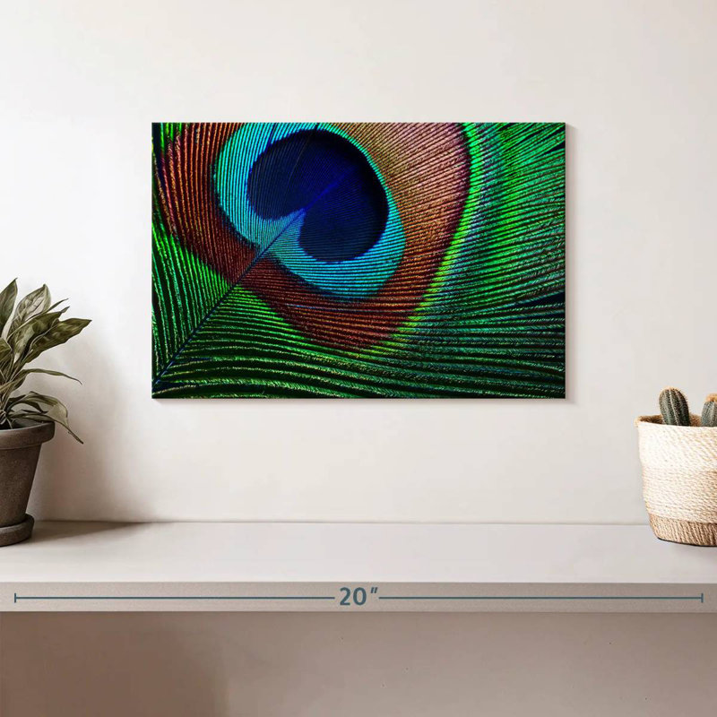 Fine Peacock Feather, 8" H x 12" W