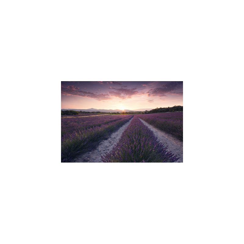 Wrapped Canvas Print, 50.8 cm H x 76.2 cm W