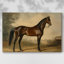 Animaux, paysage, série CXCVI-1591423853