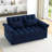 Loveseats Sofa Bed With Pull-Out Bed