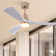 Iarlaith 48'' Ceiling Fan with LED Lights