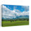 High Highs, zone des montagnes Adirondack, parc d'État Adirondack, État de New York, États-Unis, art contemporain contemporain, paysage naturel