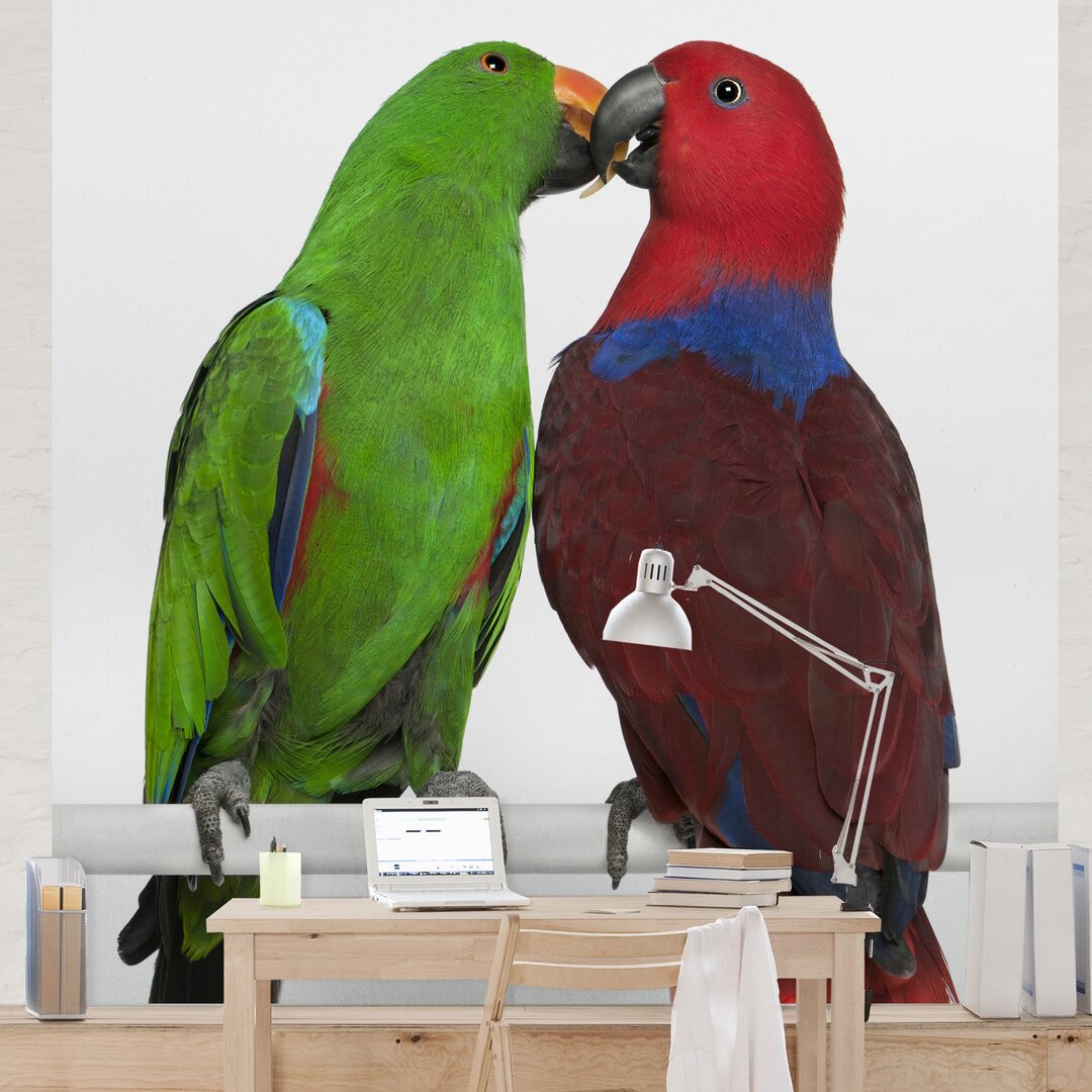 Seidenmatte Fototapete Parrots in Love