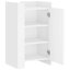 Amarious 45cm Sideboard-1624296267