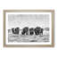 Herd of Elephants Roaming - Framed Print-56712213-56712216