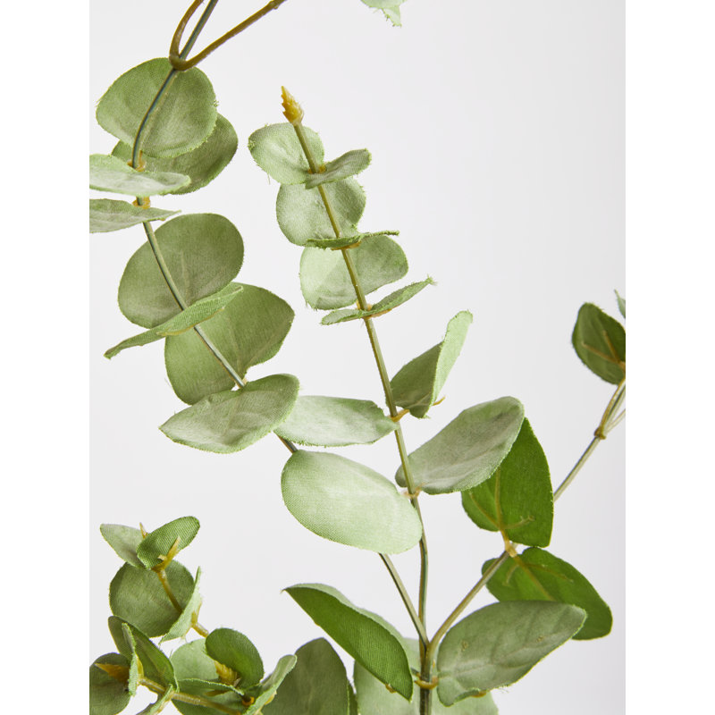 76cm Eucalyptus Branch
