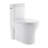 Monaco One-Piece Elongated Toilet Dual-Flush 1.1/1.6 gpf-121372818-121372820-121372821
